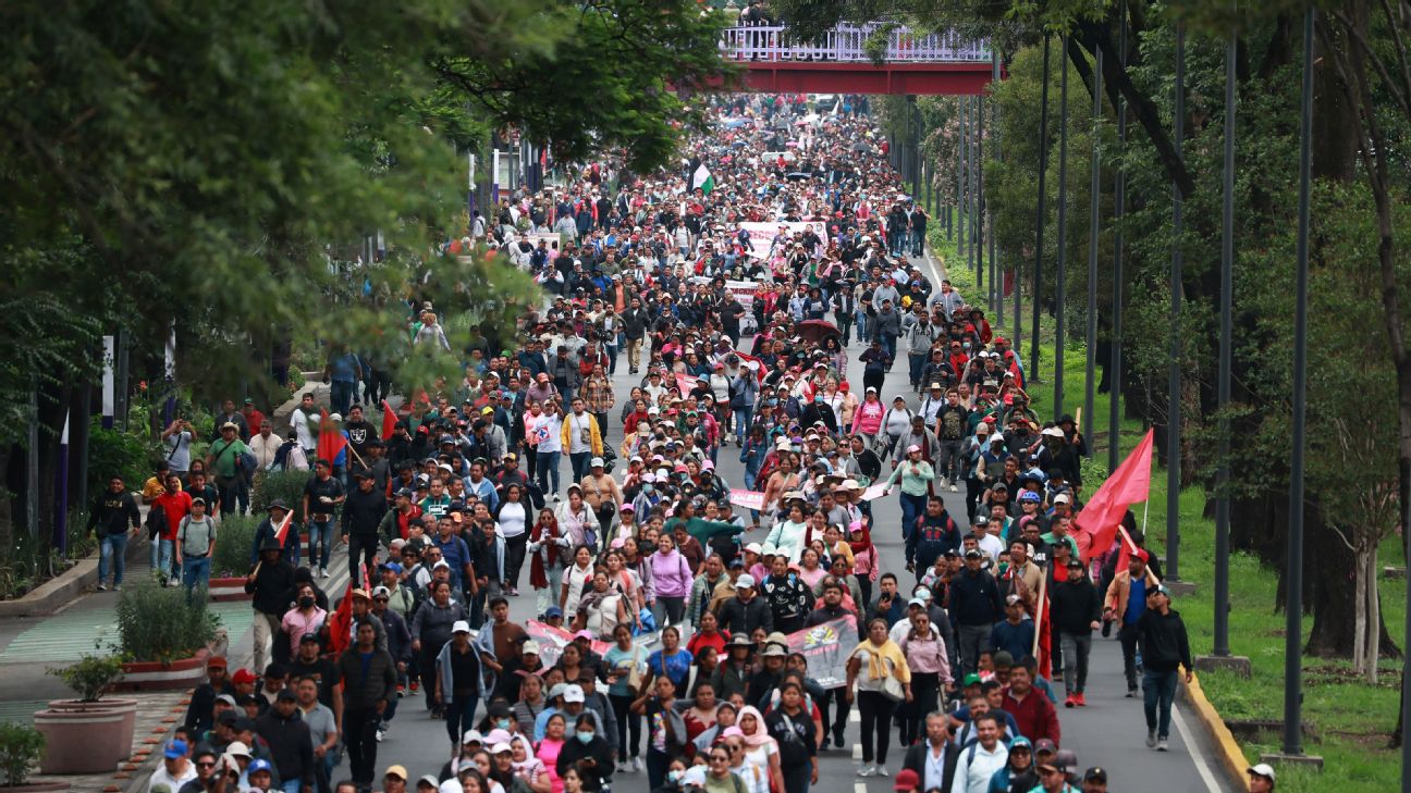 威体育体育官方网站登录注册平台入口｜体育场地墨西哥城世界杯球迷节受教师抗议影响面临变动